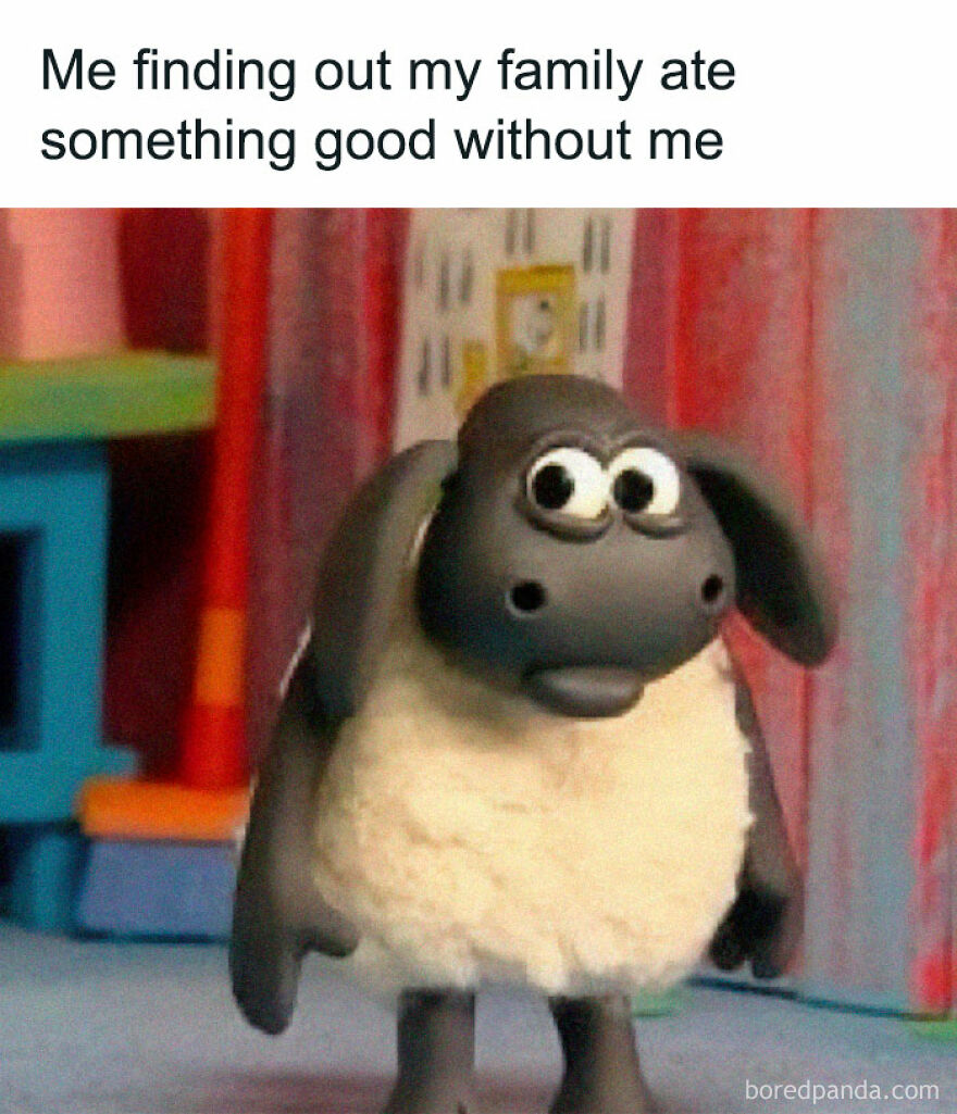 Sheep looking surprised, relating to the feeling of missing out, in a funny meme from girl posts collection.