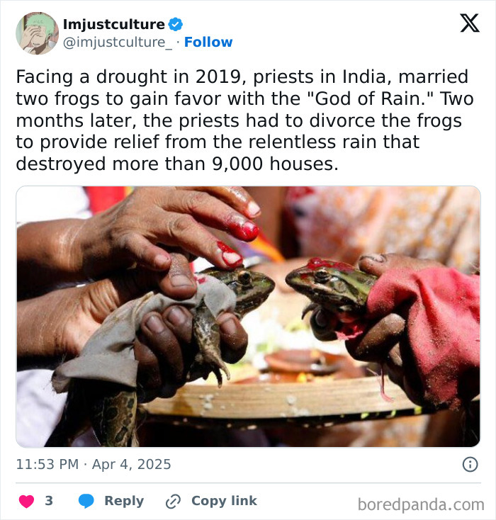 Priests in India hold two frogs in a ritual to appease the "God of Rain," highlighting interesting cultural practices.