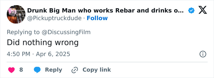 Tweet by user about Minecraft movie, expressing opinion with text "Did nothing wrong.
