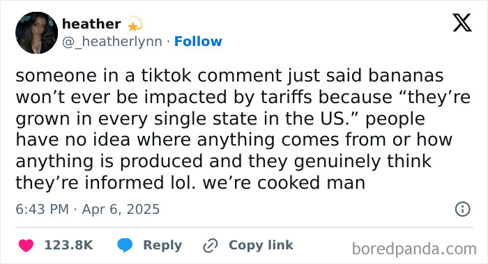 Tweet expressing frustration about misunderstandings of tariffs and production under capitalism.
