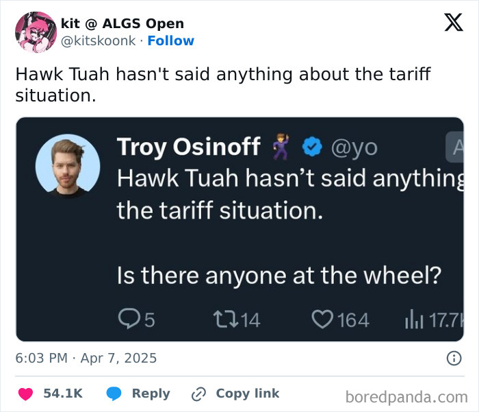 Tweet by Troy Osinoff joking about Hawk Tuah's silence on tariffs, part of the funniest tweets collection.