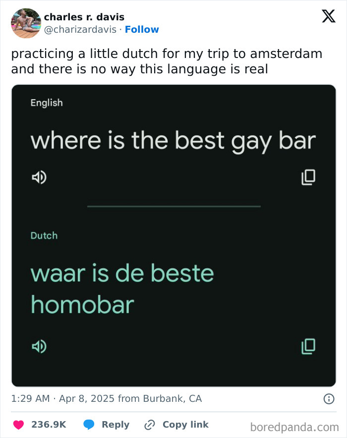 Translation humor with Dutch phrases; English to Dutch: "where is the best gay bar" translated as "waar is de beste homobar".