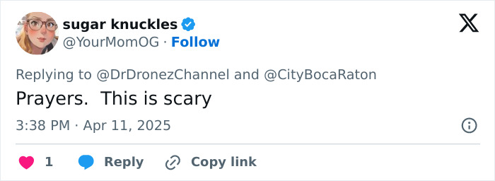 Tweet by user expressing concern about Florida plane explosion.