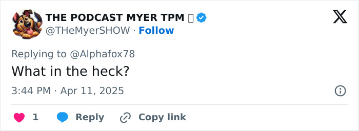 Reply tweet to plane explosion news in Florida, reading "What in the heck?" from a verified account on April 11, 2025.