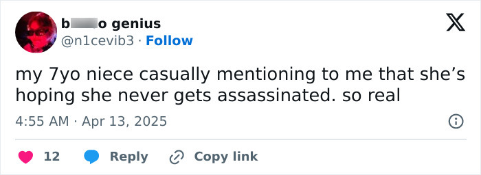 Funny tweet from a parent about their niece's unexpected and humorous remark on assassination.