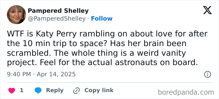 Tweet reacting to Blue Origin's PR stunt with Katy Perry, calling it a vanity project and questioning its purpose.