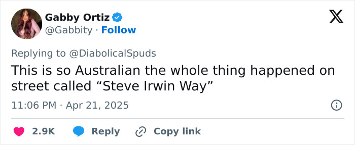 Tweet by Gabby Ortiz humorously references a carjacking on Steve Irwin Way, sparking reaction. Tweet by Gabby Ortiz humorously references a carjacking on Steve Irwin Way, sparking reaction.