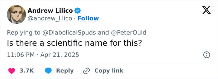 Tweet by Andrew Lilico asking, "Is there a scientific name for this?" relating to insufferable twins recounting a carjacking. Tweet by Andrew Lilico asking, "Is there a scientific name for this?" relating to insufferable twins recounting a carjacking.