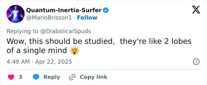 Tweet reaction to twins recounting carjacking in unison, calling their synchronization fascinating and study-worthy. Tweet reaction to twins recounting carjacking in unison, calling their synchronization fascinating and study-worthy.