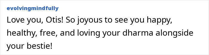 After A Year Of Cruelty As A Test Subject, This Dog Finally Knows What It Means to Be Loved