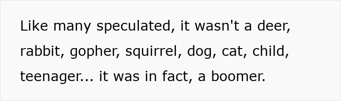 Text humorously listing suspects of a plant thief, revealing it was a boomer instead of an animal or child.