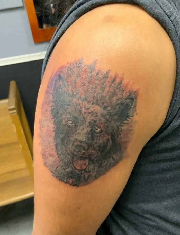 A poorly executed tattoo of a dog's face on a person's upper arm, featured in Body Art Museum.