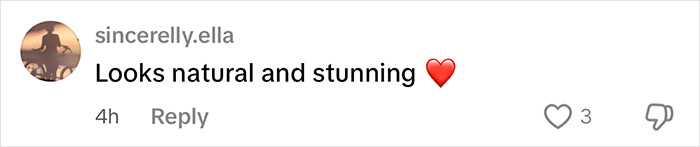 Comment praising Denise Richards' daughter Sami Sheen's cosmetic surgeries, described as natural and stunning.