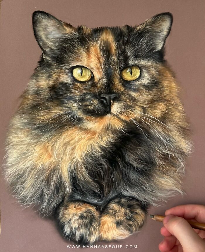 Realistic cat portrait drawn with pencils, showing detailed fur and vibrant eyes by Hanna Asfour.