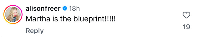 Instagram comment praising Martha Stewart's influence, mentioning "Martha is the blueprint" with 19 likes.