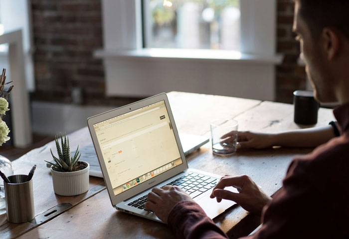 Person using laptop on wooden desk with a small plant, showcasing online life hacks for easier internet use.