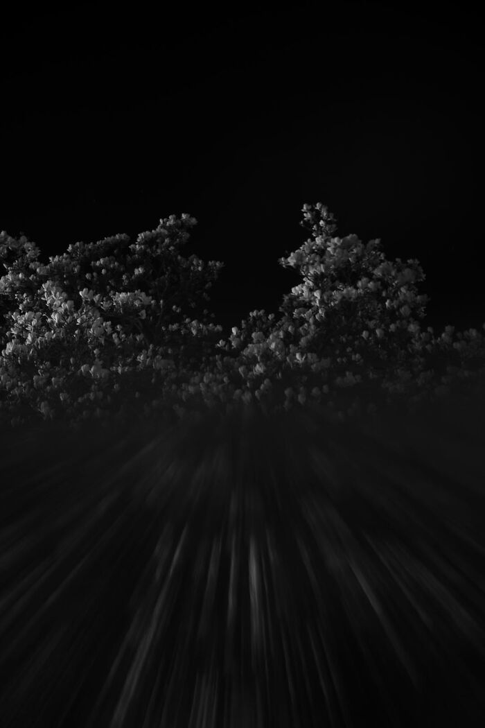 Gradient Loss - 20 March 2025 (22:25)