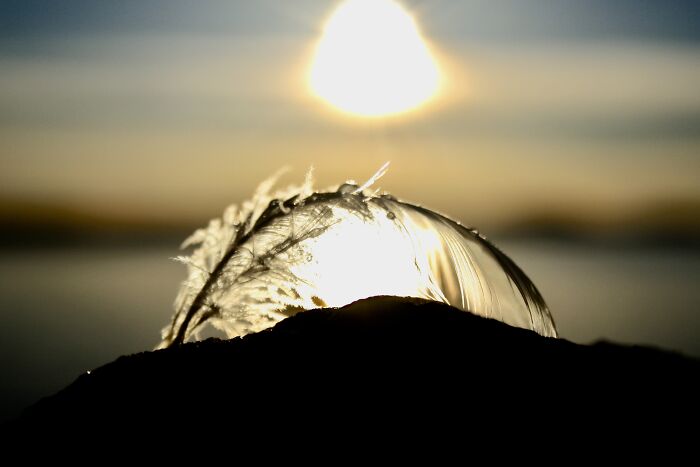 Lighter Than A Feather