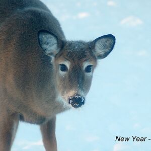 roger_simmons_94 avatar