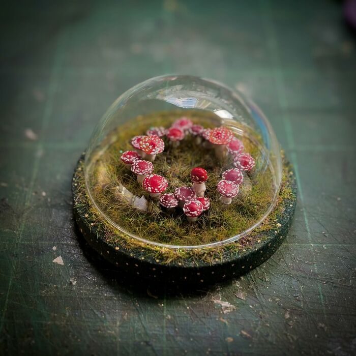 Mushroom diorama in a glass dome, perfect for mystery-themed decor enthusiasts.