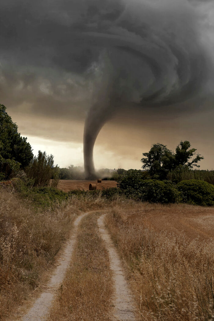Tornado swirls over a rural landscape, capturing the essence of scariest things with dark threatening clouds above.
