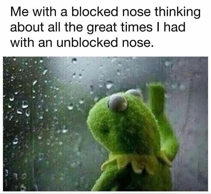 Kermit the Frog looking out a rainy window, reflecting humorously on having a blocked nose in funny memes.