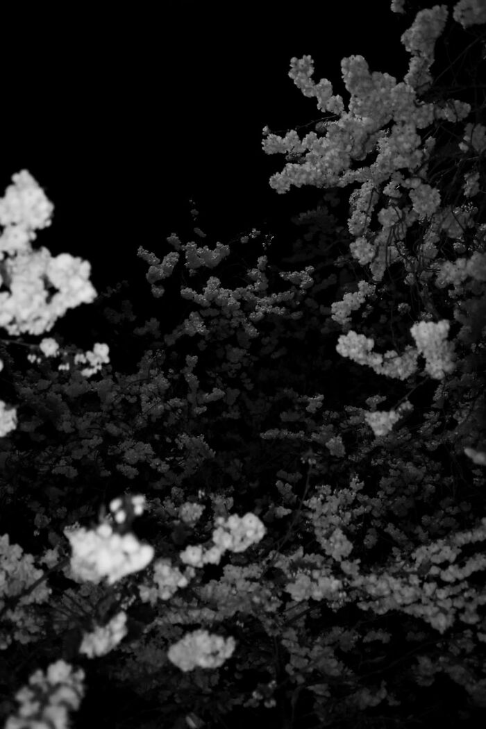 Gradient Loss - 22 March 2025 (23:36)