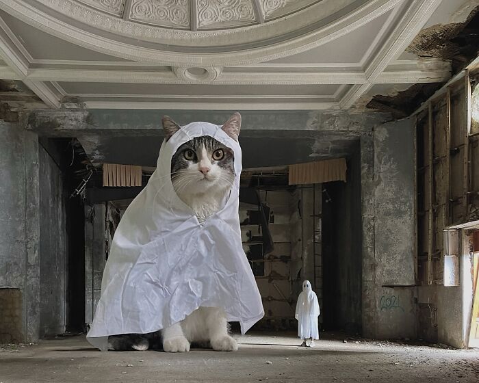 Giant cat in a cloak inside a dilapidated building, creating a surreal world with a small cloaked figure.