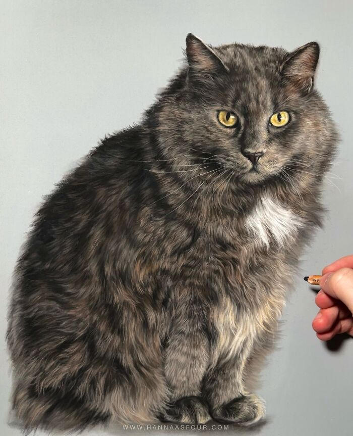 Realistic cat portrait drawn with pencils, demonstrating detailed pet art skills.