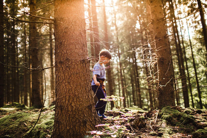 Child exploring a sunlit forest, evoking unhinged high school memories of outdoor adventures.