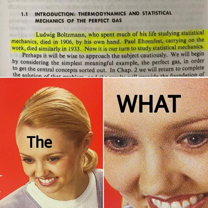 Woman reacting with confusion under highlighted physics text about Boltzmann and Ehrenfest, creating a humorous physics meme.