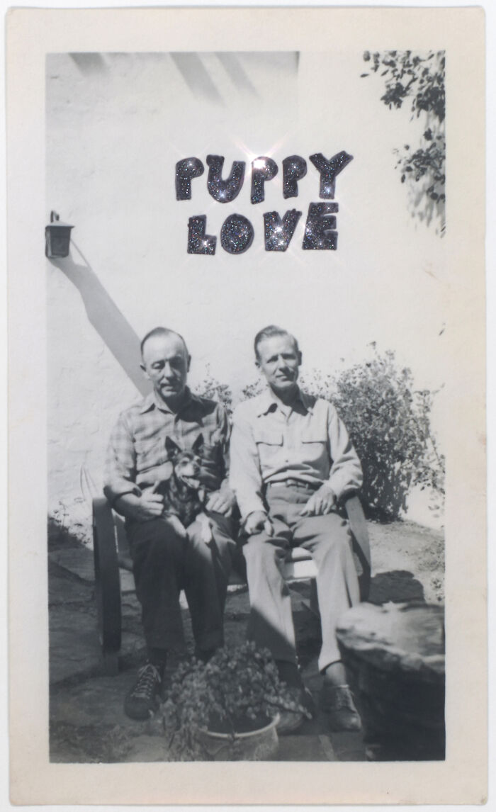 Two men seated with a dog, labeled "Puppy Love," representing a love without boundaries.