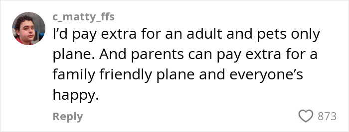 Comment on flight suggesting separate planes for adults and families after incident with sleeping mother and child.