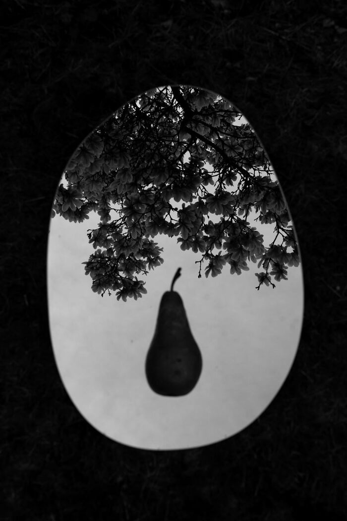 Gradient Loss - 25 March 2025 (17:18)