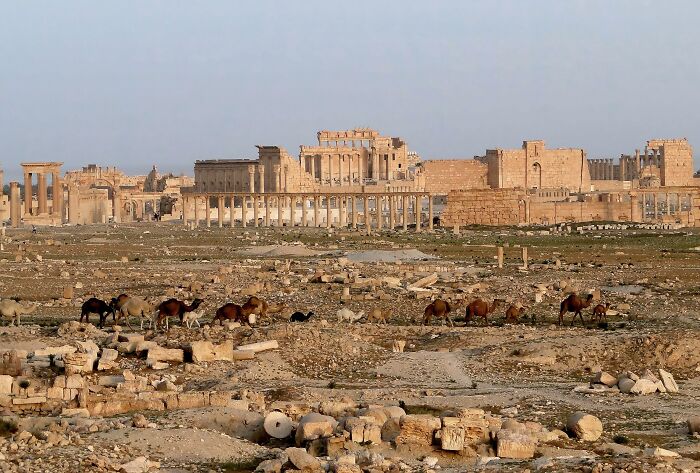 Ancient architectural wonder with scattered ruins and camels under a clear sky.