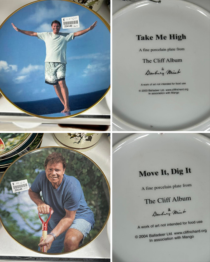 Porcelain plates from The Cliff Album with unique designs found at a secondhand shop.