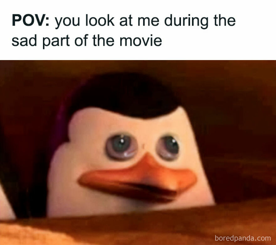 Penguin with wide eyes, meme text: "pov: you look at me during the sad part of the movie," from a girl posts meme series.