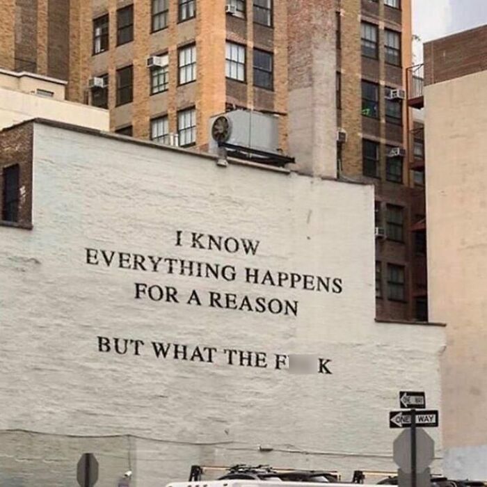 Urban building wall with humorous, relatable meme text questioning life's reasons.