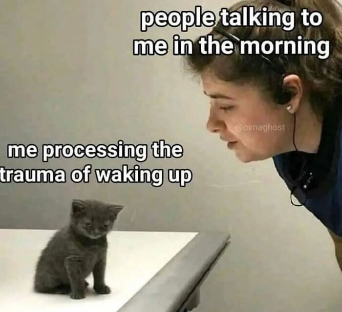 Woman and kitten meme humorously depicting waking up trauma reaction, fitting relatable meme trends.