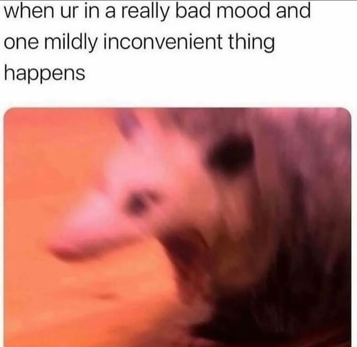 Blurred possum meme illustrating unhinged and relatable reaction to minor inconvenience.