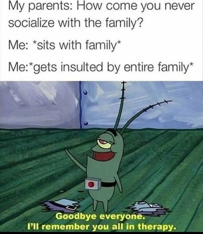 Relatable meme with cartoon character leaving after family insults, saying "Goodbye everyone, I'll remember you all in therapy."