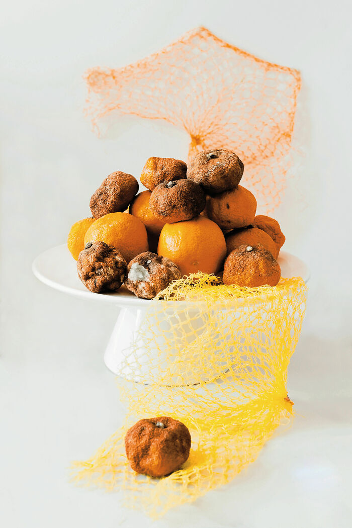 Food photography: an artistic arrangement of fruit with colorful netting, shortlisted for the 2025 awards.