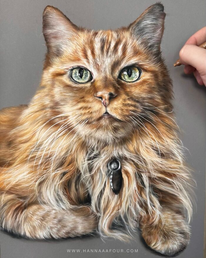 Realistic pet portrait of a fluffy cat being drawn with pencils, showcasing detailed fur and eyes.