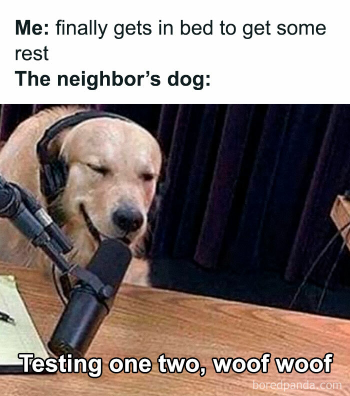 Dog wearing headphones and speaking into a microphone, captioned humor about the neighbor's noisy dog, epitome of random memes.