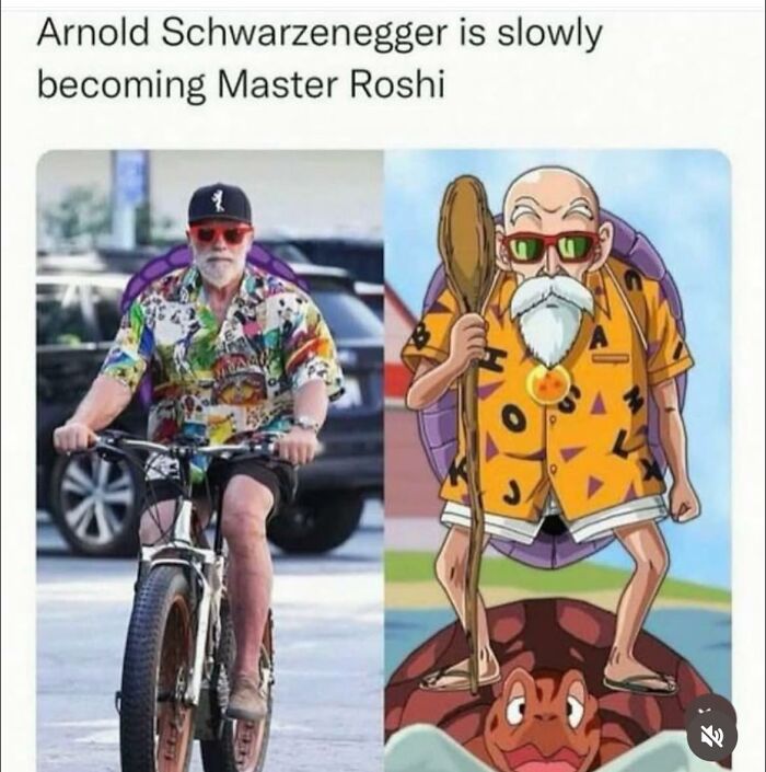 Arnold Schwarzenegger dressed like Master Roshi in a funny meme to help insulate you from all the noise.