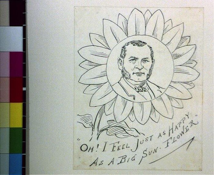 Black and white 1800s cartoon showing a man’s face inside a sunflower with vintage hand-drawn text below.