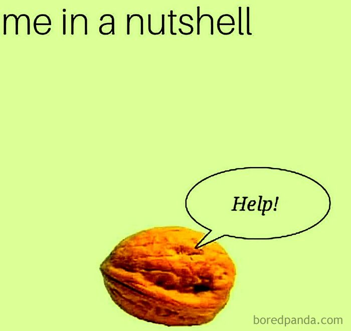 A walnut with a speech bubble saying Help, illustrating hilariously silly jokes and memes with peak dad humor.