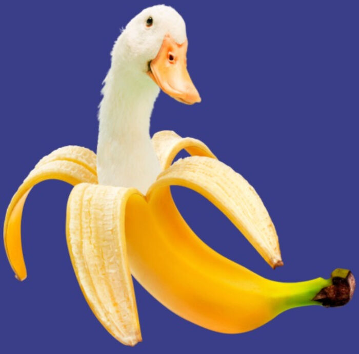Banana Duck