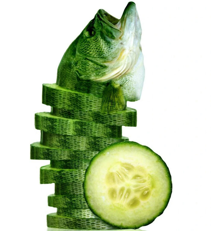 Cucumber Fish