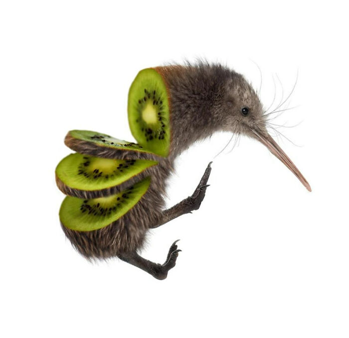 Kiwi Kiwi (LOL)